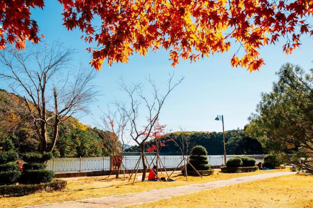大象酒店 釜山 外观 照片