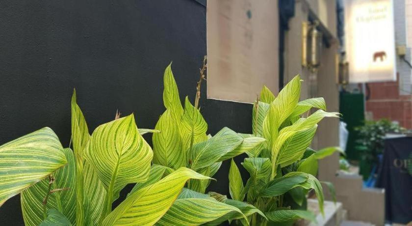 大象酒店 釜山 外观 照片